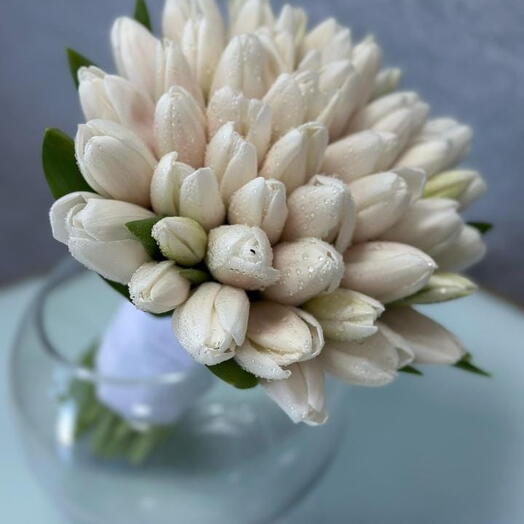 Elegant White Tulips Bouquet – 50 Stems