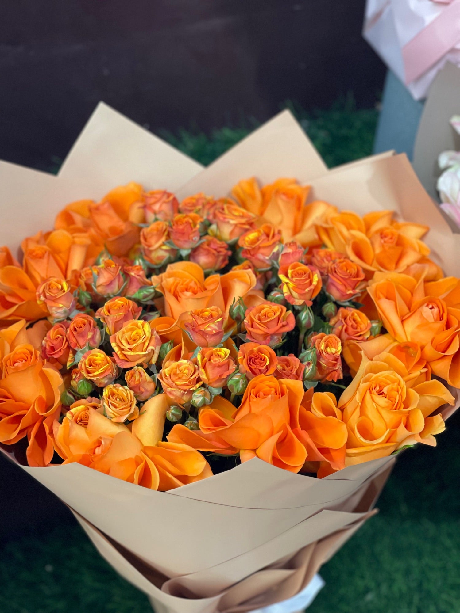 Orange Rose