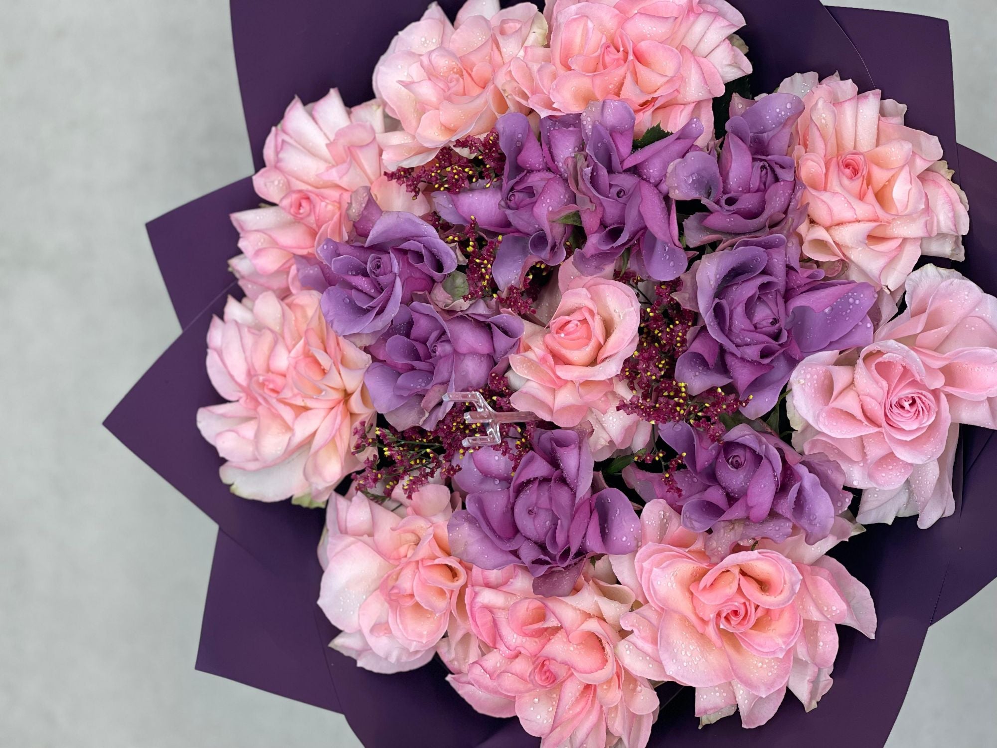 Light Pink With Purple Backa