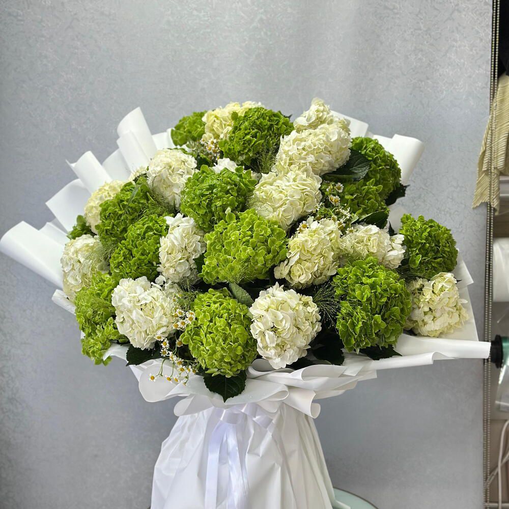Elegant Green and White Hydrangea Bouquet – Fresh and Lush