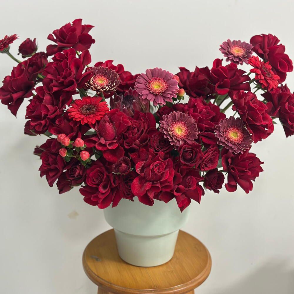 Elegant Red Gerbera Rose Bouquet with Babyrose Accent