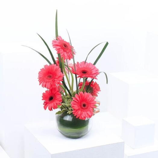 Elegant Pink Gerbera   Messengena Floral Arrangement