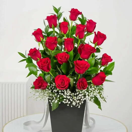 Classic Red Rose Elegance – 20-Stem Premium Red Rose Arrangement with Baby s Breath in Stylish Black Vase