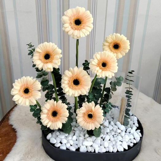 Modern Peach Gerbera Daisy Arrangement – Minimalist Floral Display with Eucalyptus and White Pebbles