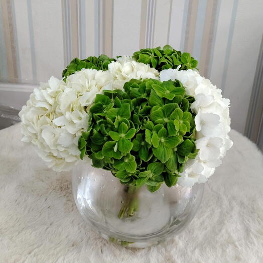 Pure Elegance Hydrangea Duo / Couple