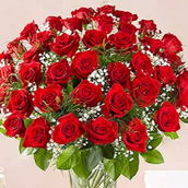 باقة من 50 وردة قرمزية