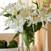 Happiness With Lilies Arrangement