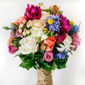 Lethal Combination Standard