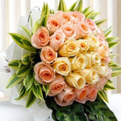 Garden Terrace Standard