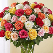 باقة من 50 وردة متنوعة في مزهرية زجاجية